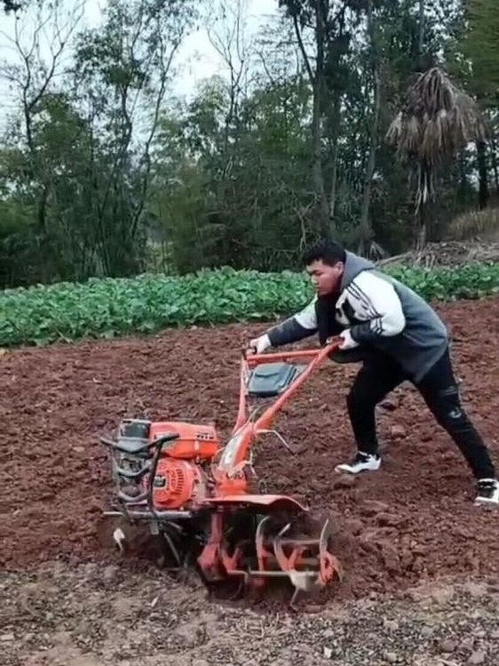  老师说，寒假可以这样“玩”——宜宾市四中高寒假社会实践活动